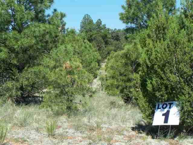3355 Tonto Drive, Overgaard, AZ 85933