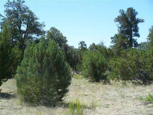 3355 Tonto Drive, Overgaard, AZ 85933