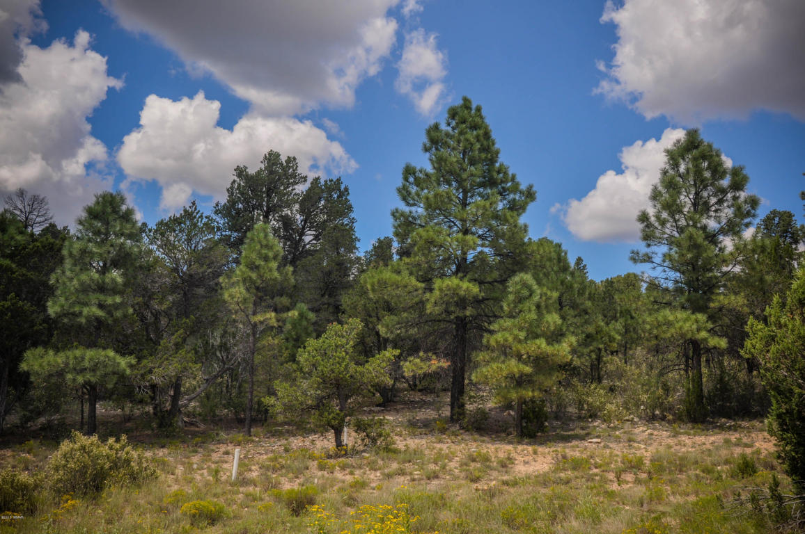 2950 RANCH HOUSE Road, Overgaard, AZ 85933