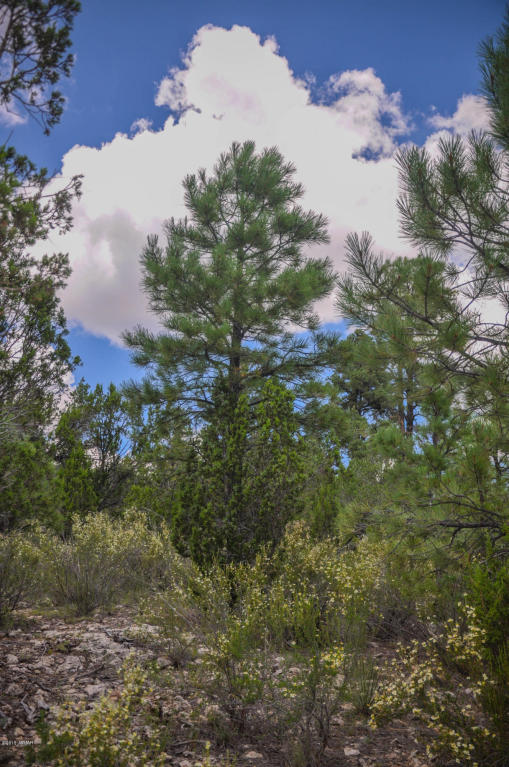 2950 RANCH HOUSE Road, Overgaard, AZ 85933