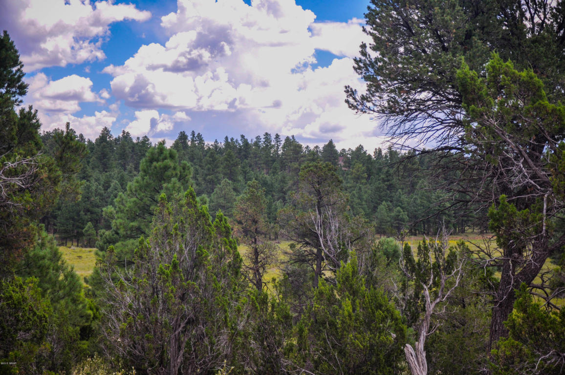 2950 RANCH HOUSE Road, Overgaard, AZ 85933