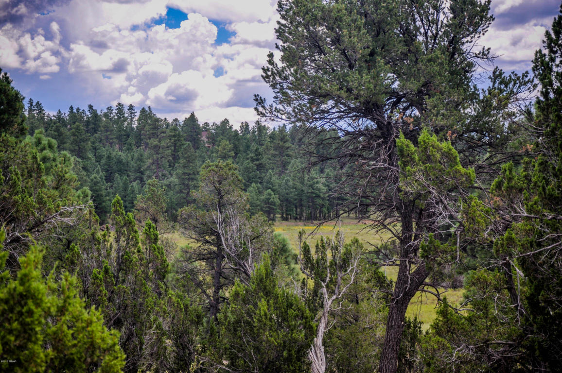 2950 RANCH HOUSE Road, Overgaard, AZ 85933