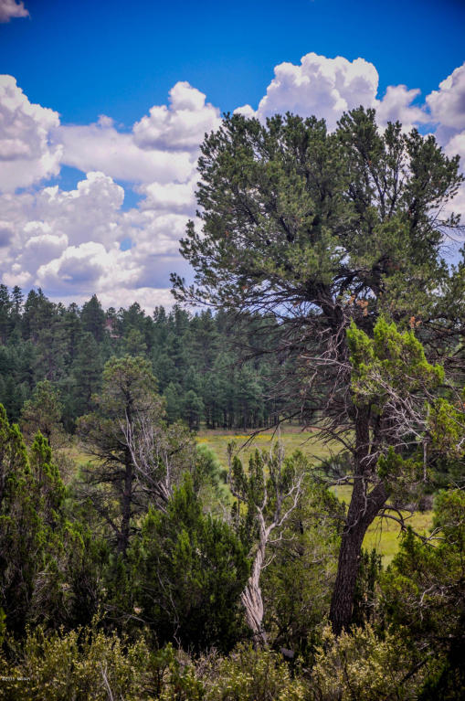 2950 RANCH HOUSE Road, Overgaard, AZ 85933