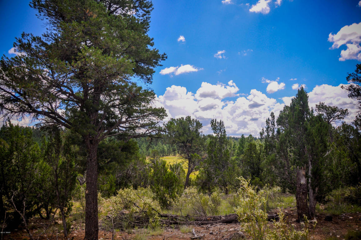 2950 RANCH HOUSE Road, Overgaard, AZ 85933