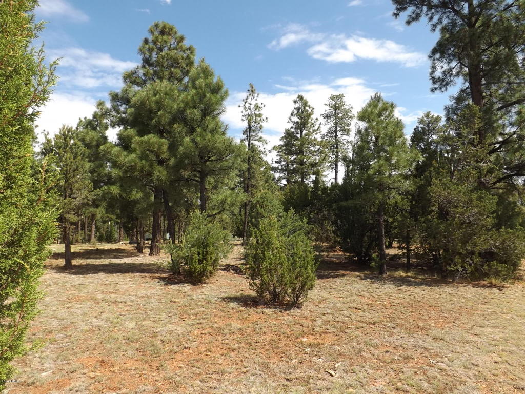 2374 WILDCAT Circle, Overgaard, AZ 85933