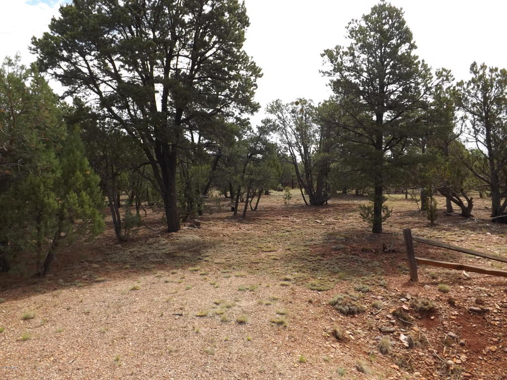 2374 WILDCAT Circle, Overgaard, AZ 85933