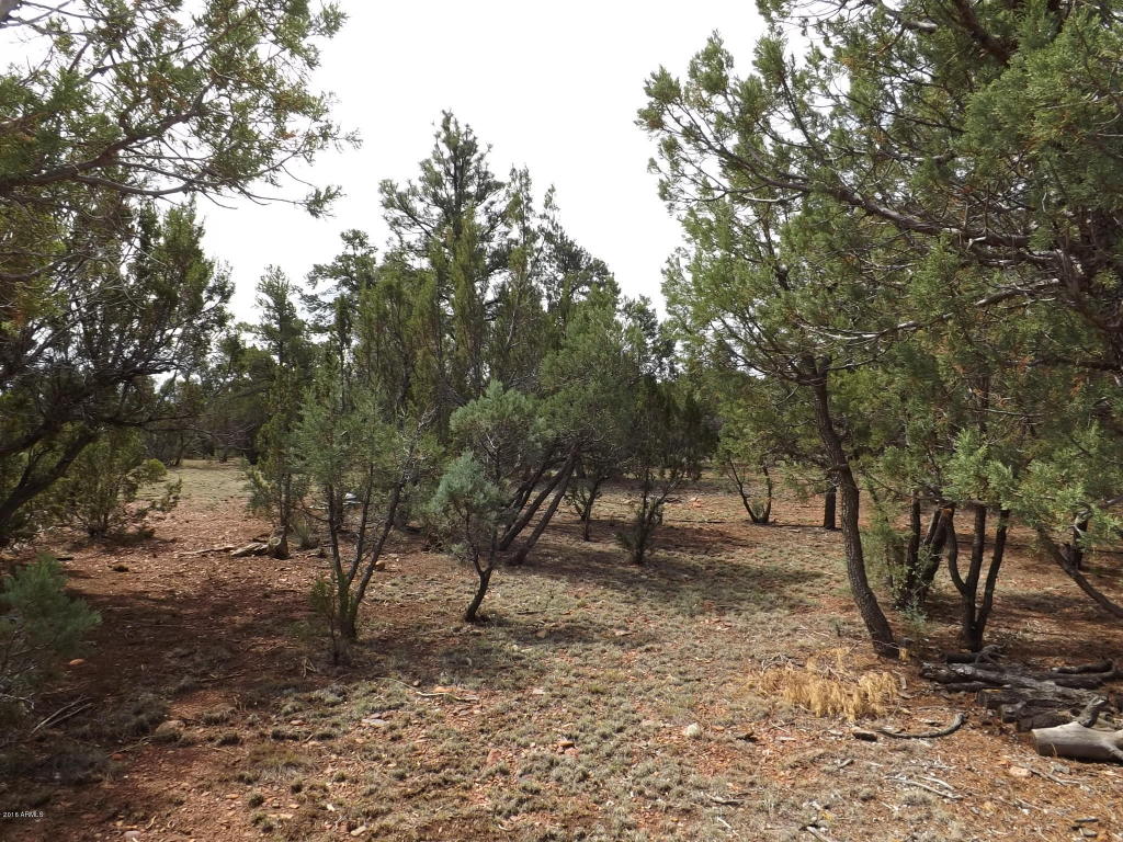 2374 WILDCAT Circle, Overgaard, AZ 85933