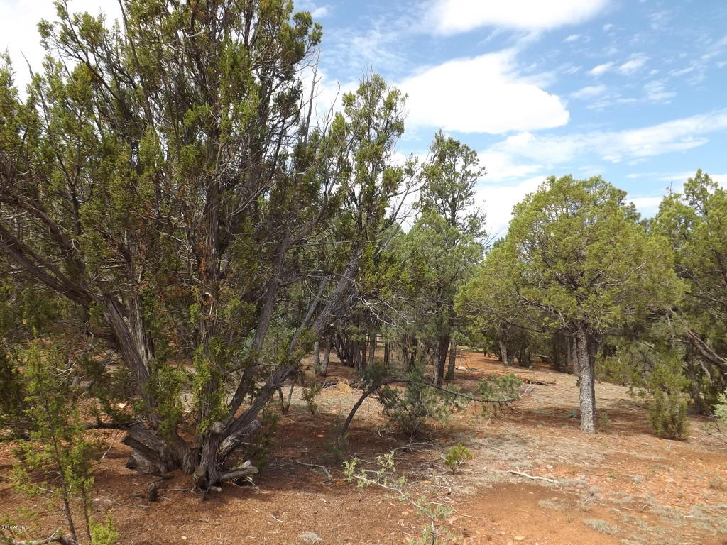 2374 WILDCAT Circle, Overgaard, AZ 85933