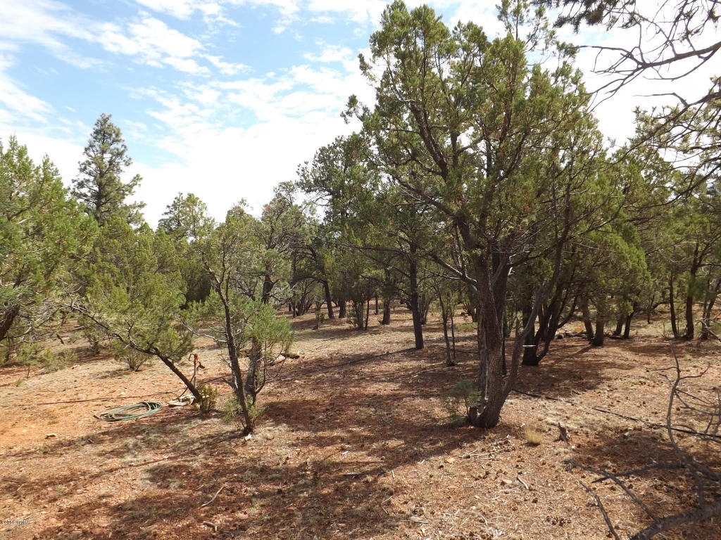 2374 Wildcat Circle, Overgaard, AZ 85933