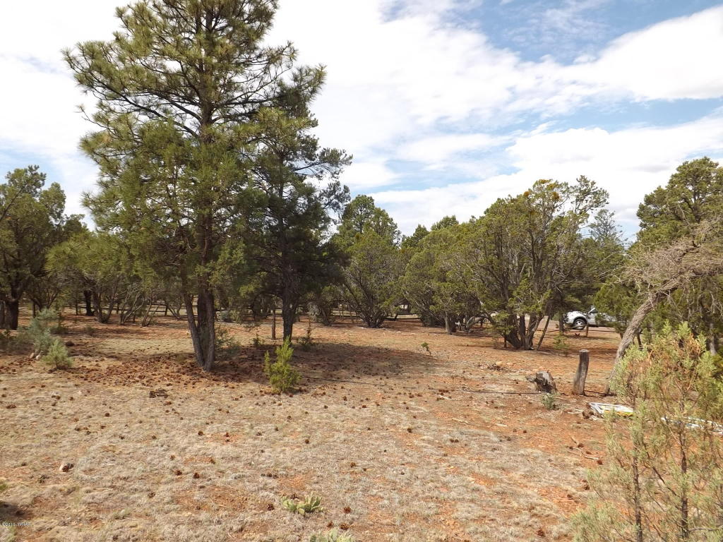 2374 Wildcat Circle, Overgaard, AZ 85933