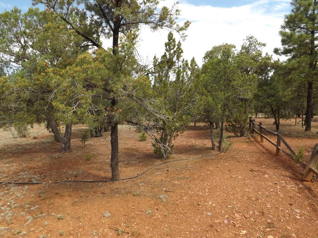 2374 Wildcat Circle, Overgaard, AZ 85933