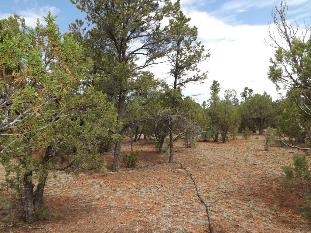 2374 Wildcat Circle, Overgaard, AZ 85933