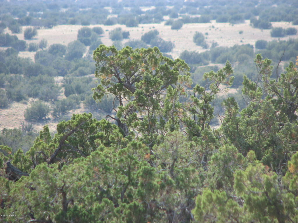 Lot 550 Chevelon Canyon Ranch 4, Overgaard, AZ 85933
