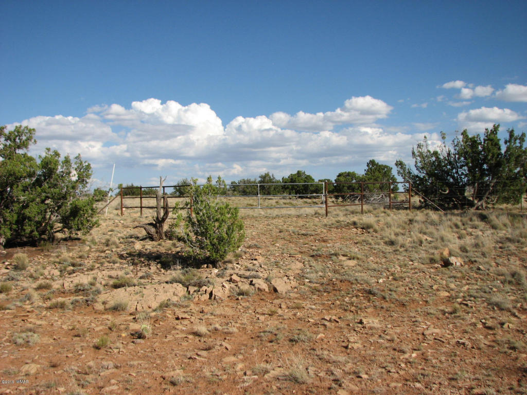 Lot 550 Chevelon Canyon Ranch 4, Overgaard, AZ 85933