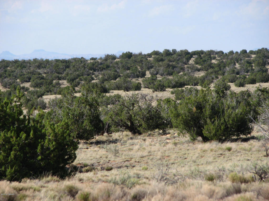 Lot 550 Chevelon Canyon Ranch 4, Overgaard, AZ 85933