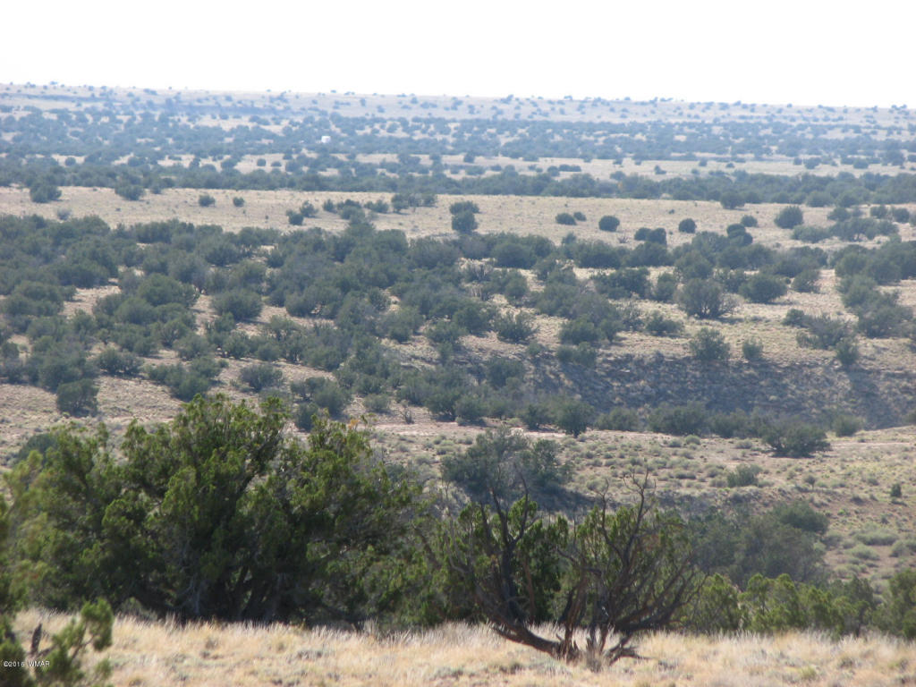 Lot 550 Chevelon Canyon Ranch 4, Overgaard, AZ 85933