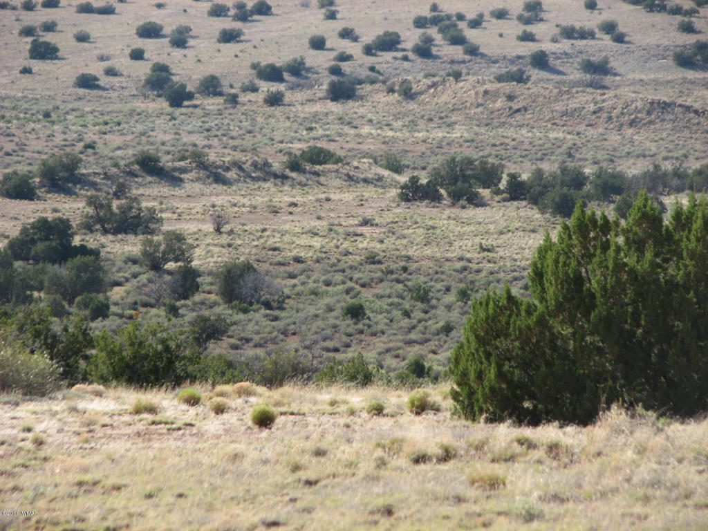 Lot 550 Chevelon Canyon Ranch 4, Overgaard, AZ 85933