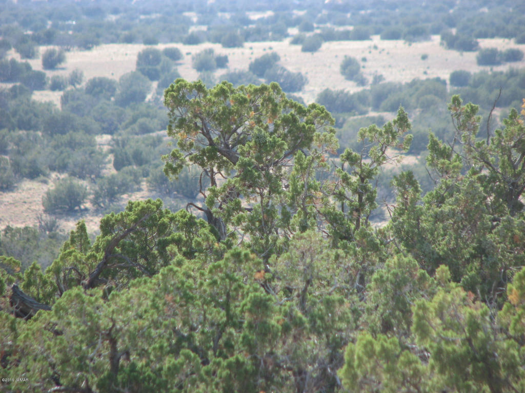 Lot 550 Chevelon Canyon Ranch 4, Overgaard, AZ 85933