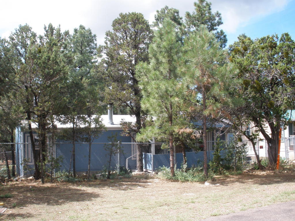 2181 Western Star, Overgaard, AZ 85933