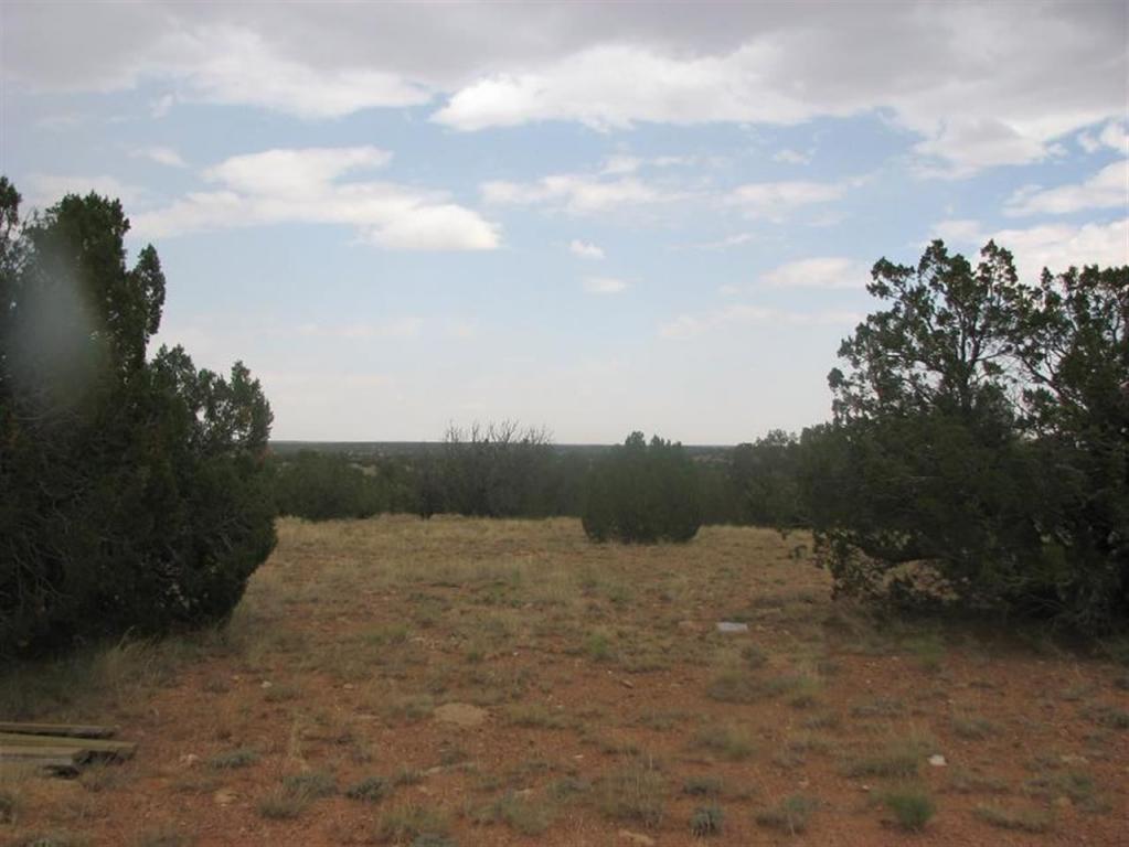 Lot 26 Chevelon Canyon Ranch, Overgaard, AZ 85933