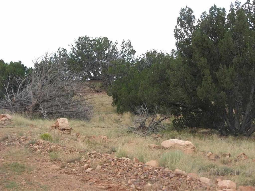 Lot 26 Chevelon Canyon Ranch, Overgaard, AZ 85933