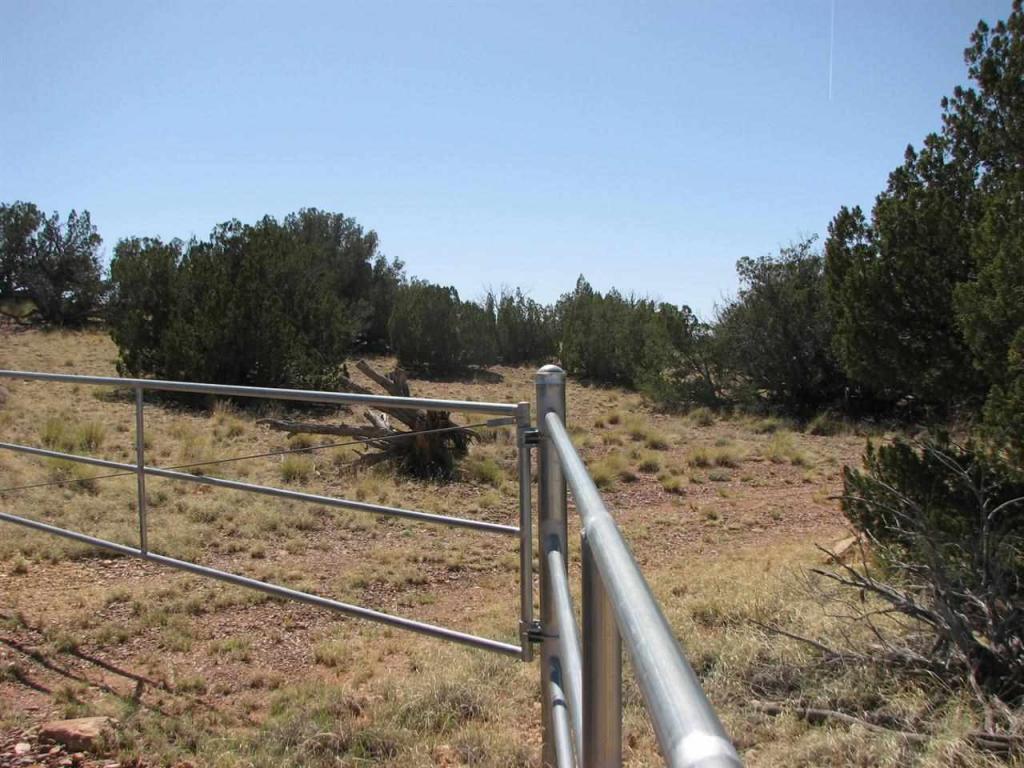 Lot 26 Chevelon Canyon Ranch, Overgaard, AZ 85933