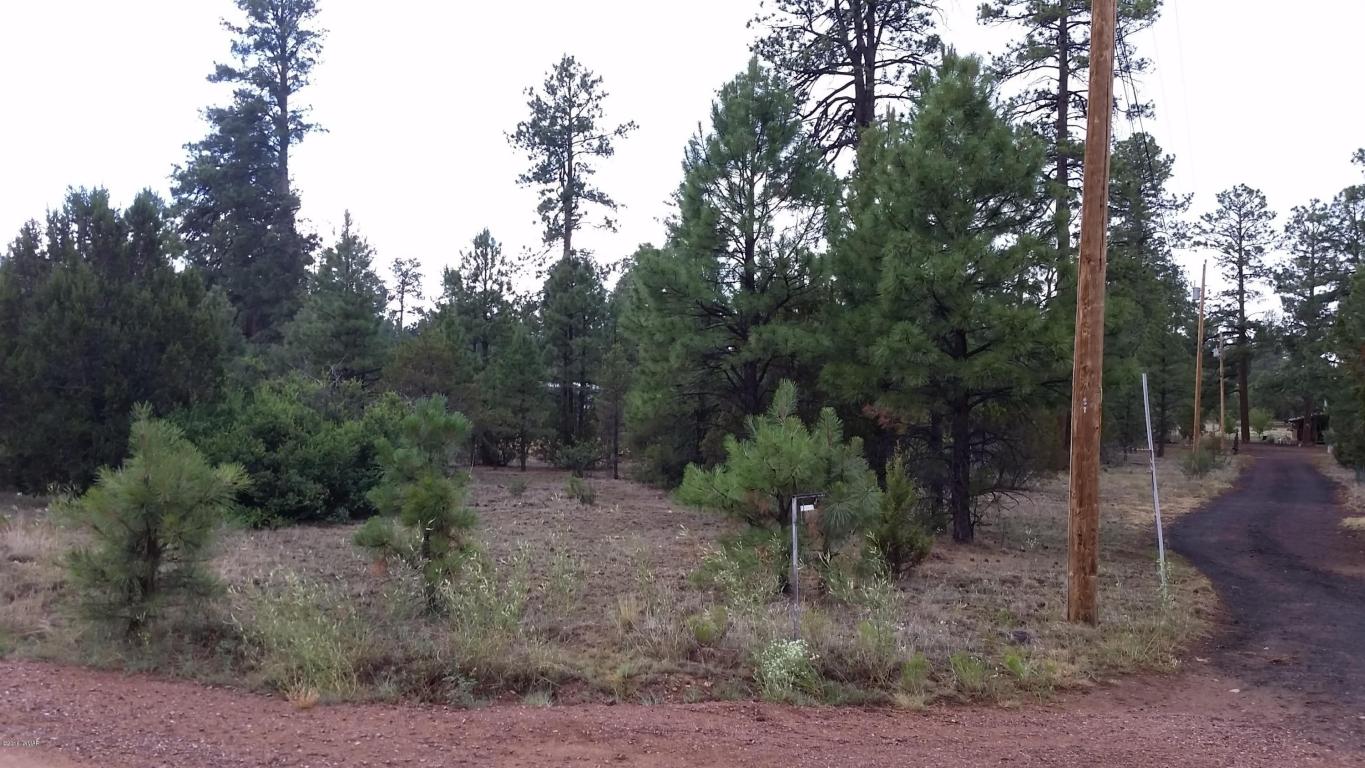 2906 PAINT PONY Lane, Overgaard, AZ 85933
