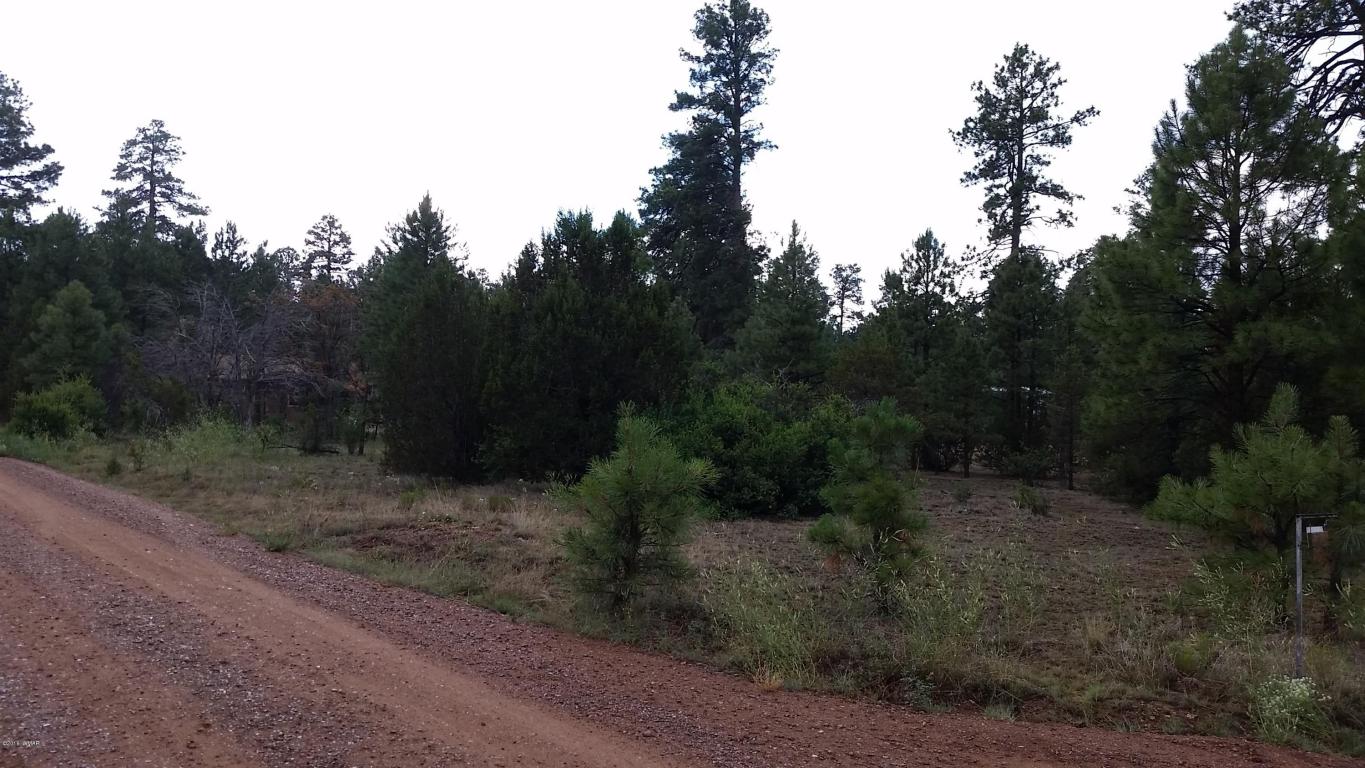 2906 PAINT PONY Lane, Overgaard, AZ 85933
