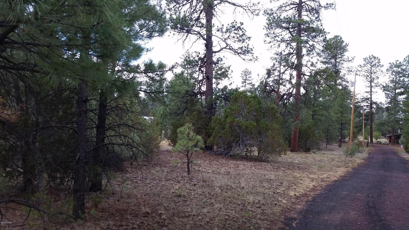 2906 PAINT PONY Lane, Overgaard, AZ 85933
