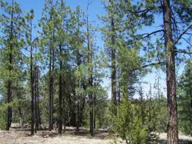 2836 Thunderbird Way, Overgaard, AZ 85933