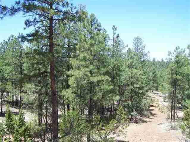 2836 Thunderbird Way, Overgaard, AZ 85933