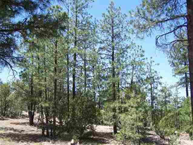 2836 Thunderbird Way, Overgaard, AZ 85933
