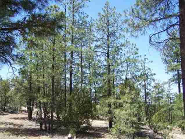 2846 Thunderbird Way, Overgaard, AZ 85933