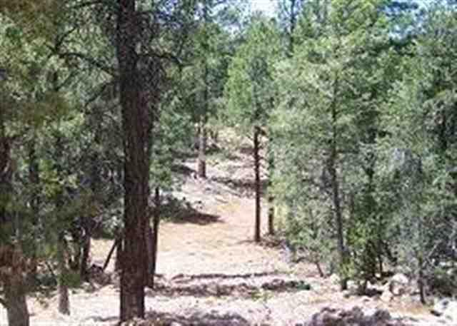 2846 Thunderbird Way, Overgaard, AZ 85933