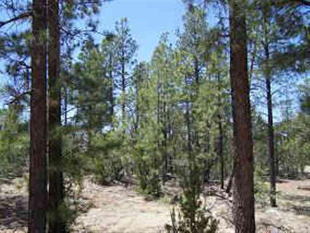 2846 Thunderbird Way, Overgaard, AZ 85933