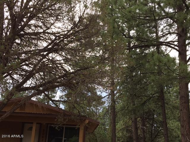 2061 GREY SQUIRREL Trail, Overgaard, AZ 85933