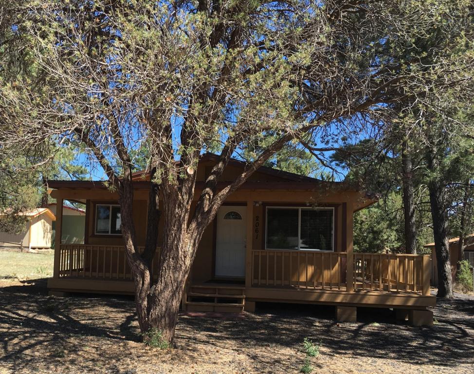 2061 GREY SQUIRREL Trail, Overgaard, AZ 85933