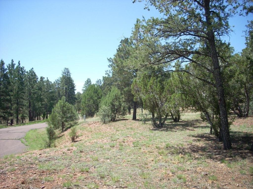 2836 Thunderbolt Circle, Overgaard, AZ 85933