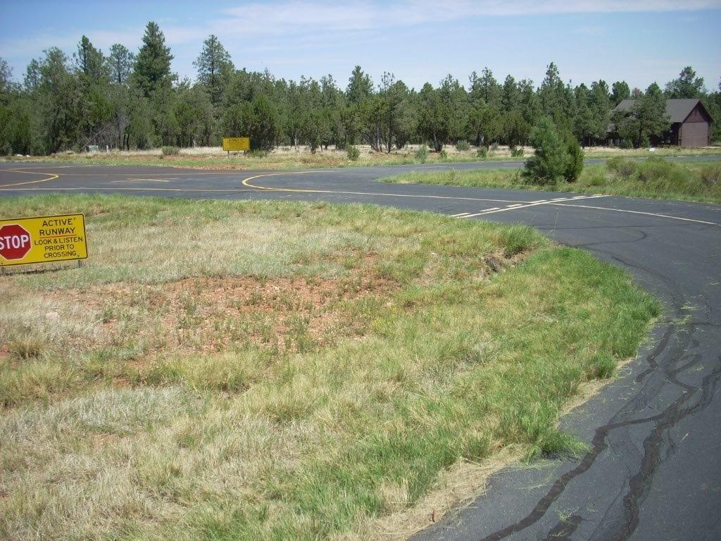 2836 Thunderbolt Circle, Overgaard, AZ 85933