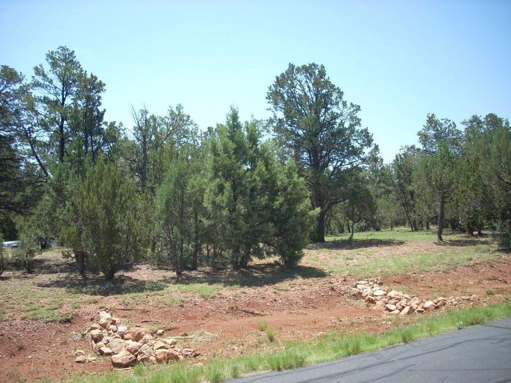 2836 Thunderbolt Circle, Overgaard, AZ 85933