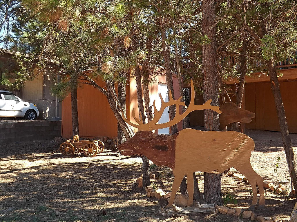 2071 SAGEBRUSH Trail, Overgaard, AZ 85933