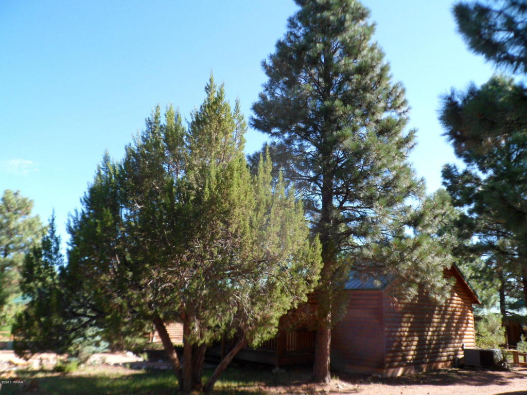 2649 Lodge Loop, Overgaard, AZ 85933
