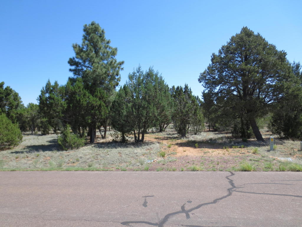 2963 Homestead Drive, Overgaard, AZ 85933