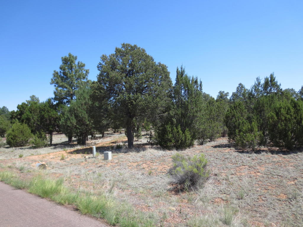 2963 Homestead Drive, Overgaard, AZ 85933