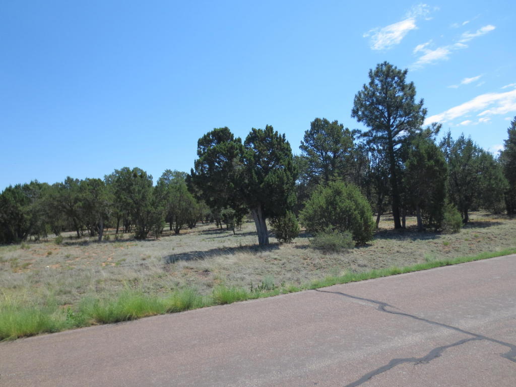 2963 Homestead Drive, Overgaard, AZ 85933