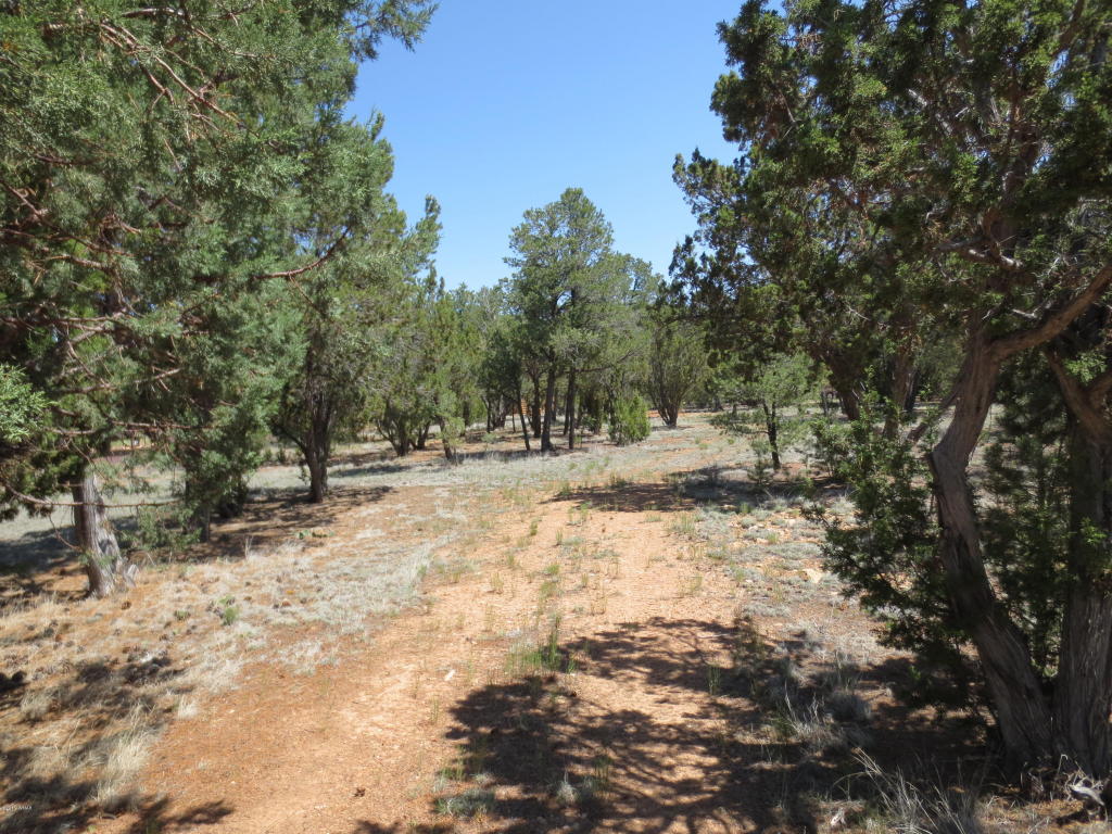 2963 Homestead Drive, Overgaard, AZ 85933