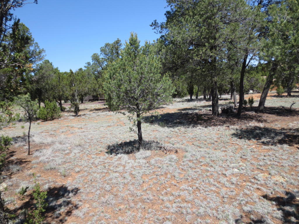 2963 Homestead Drive, Overgaard, AZ 85933