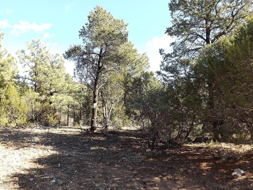 2256 Double Bogey Way, Overgaard, AZ 85933