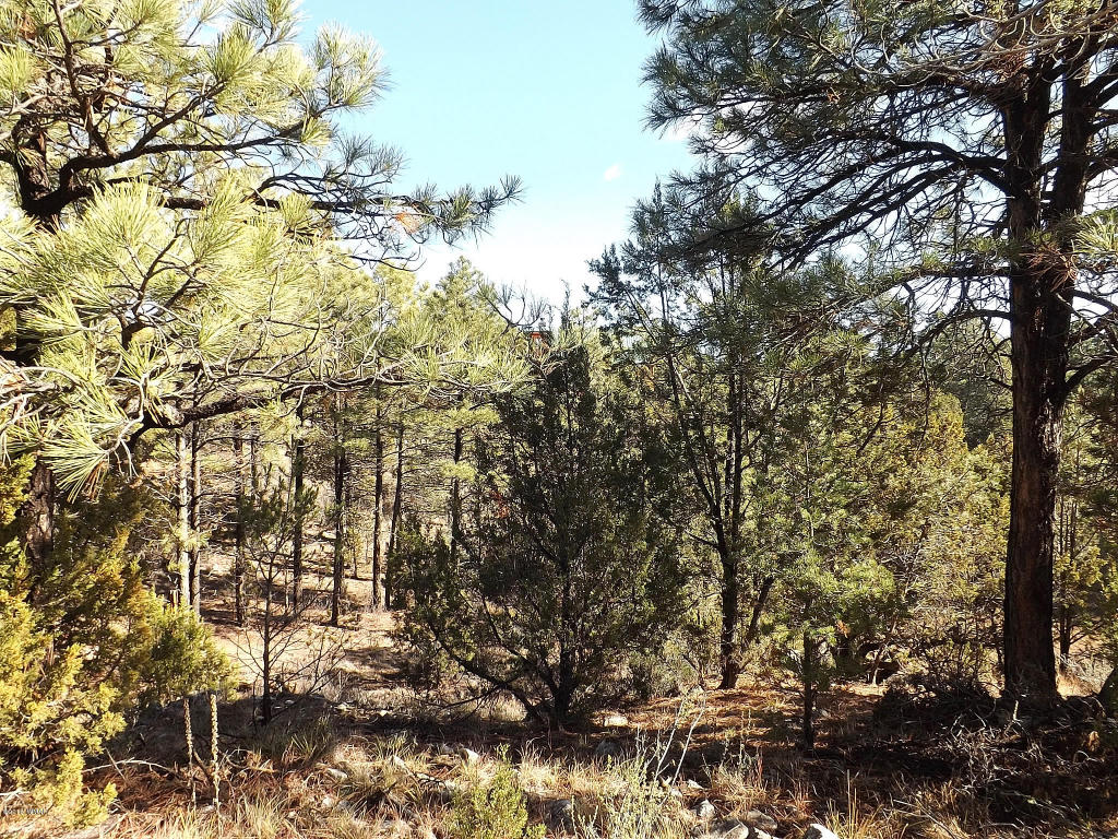 2256 Double Bogey Way, Overgaard, AZ 85933