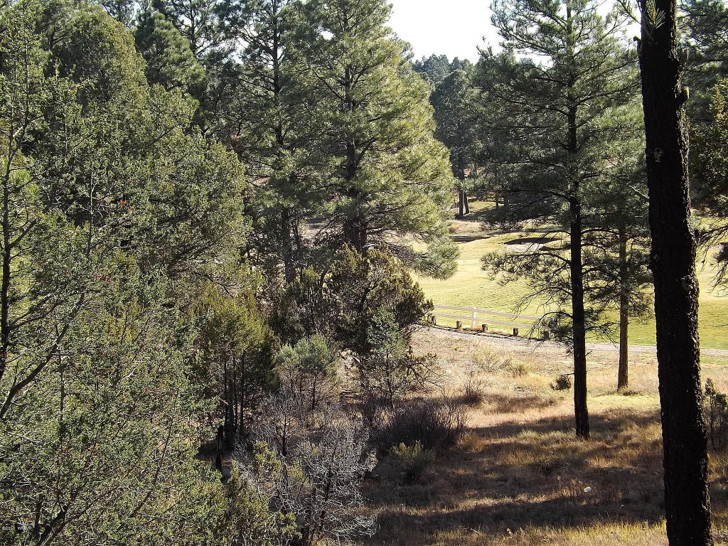 2256 Double Bogey Way, Overgaard, AZ 85933